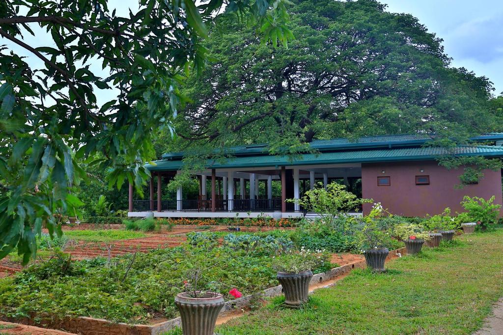 Grand & Gangula Hotell Dambulla Eksteriør bilde
