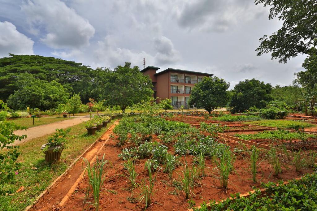 Grand & Gangula Hotell Dambulla Eksteriør bilde
