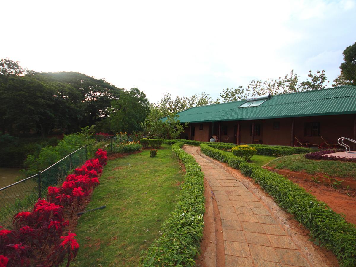 Grand & Gangula Hotell Dambulla Eksteriør bilde