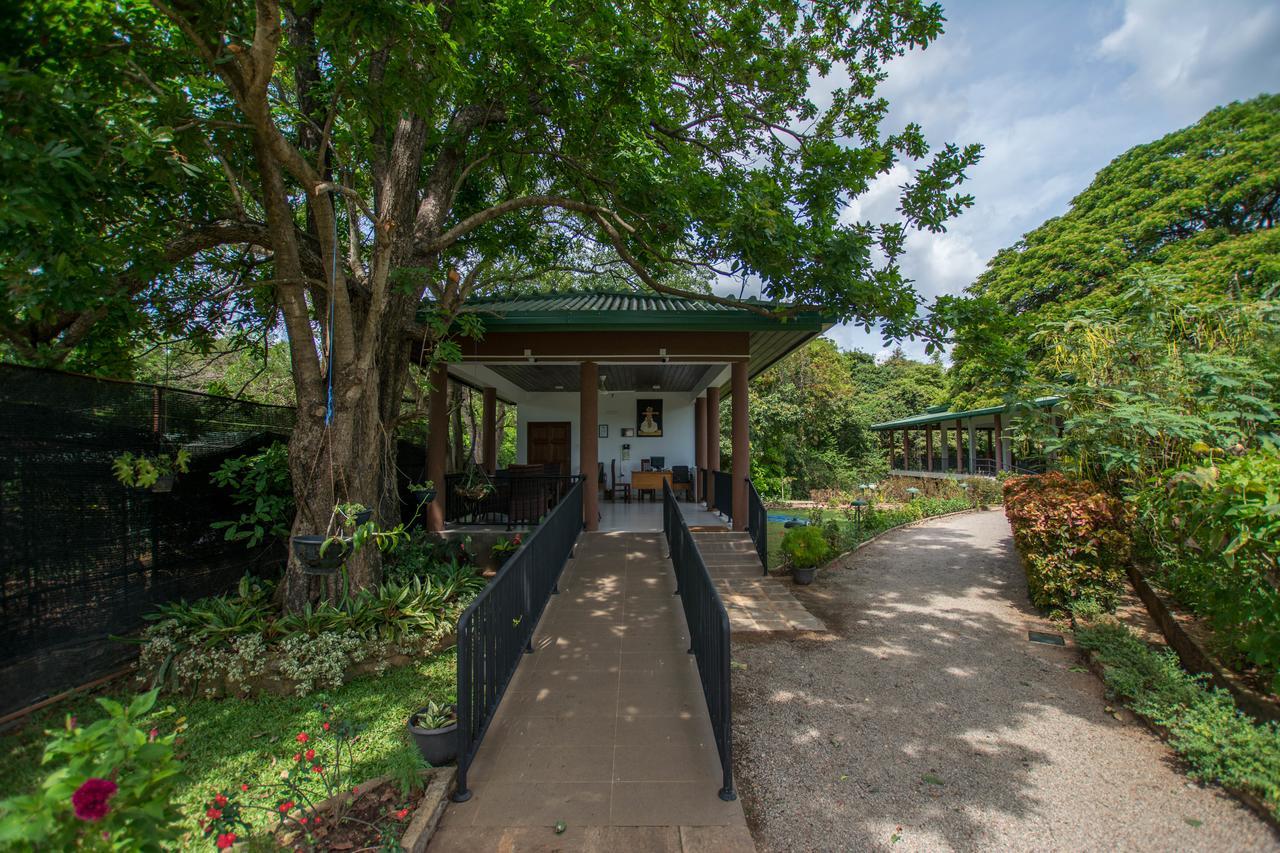 Grand & Gangula Hotell Dambulla Eksteriør bilde