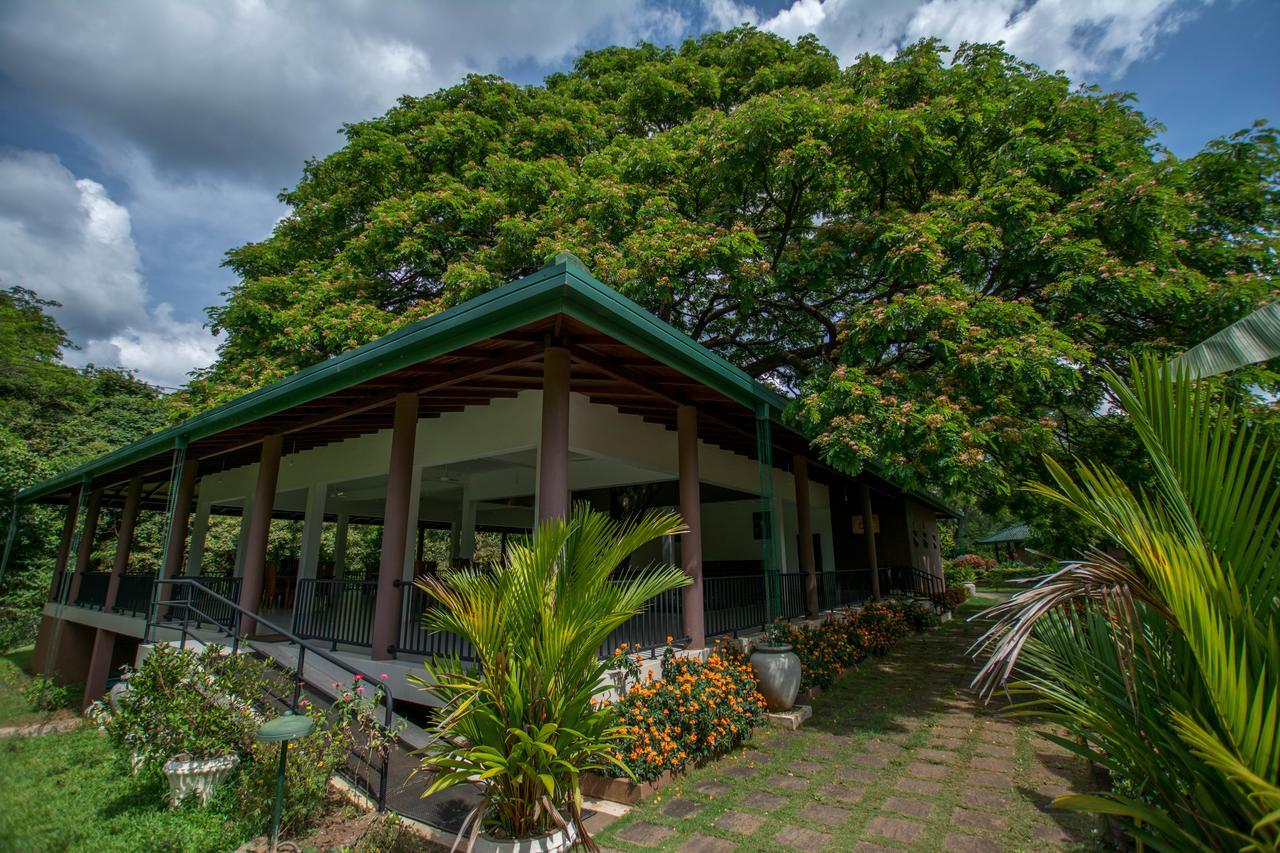 Grand & Gangula Hotell Dambulla Eksteriør bilde