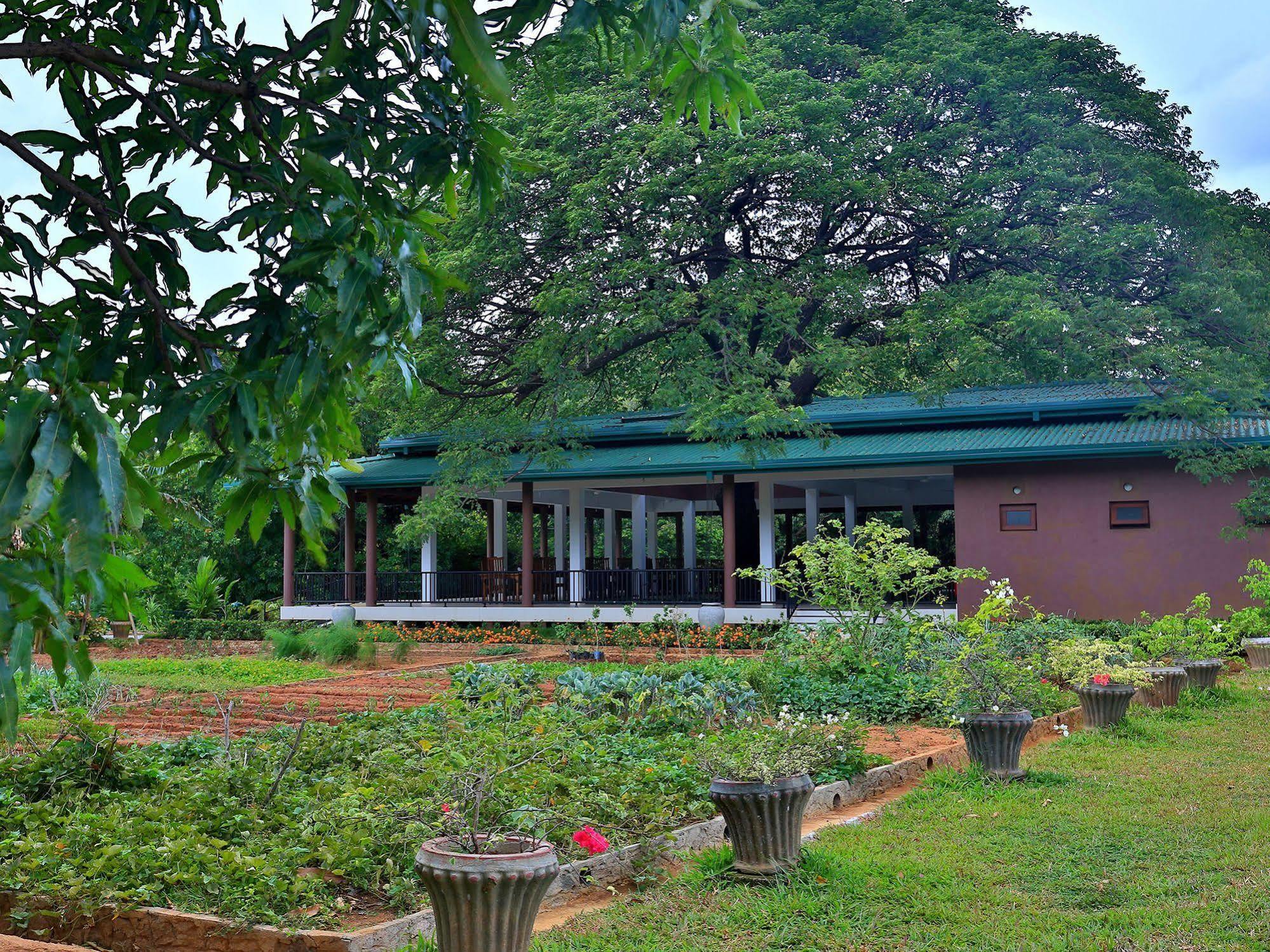 Grand & Gangula Hotell Dambulla Eksteriør bilde