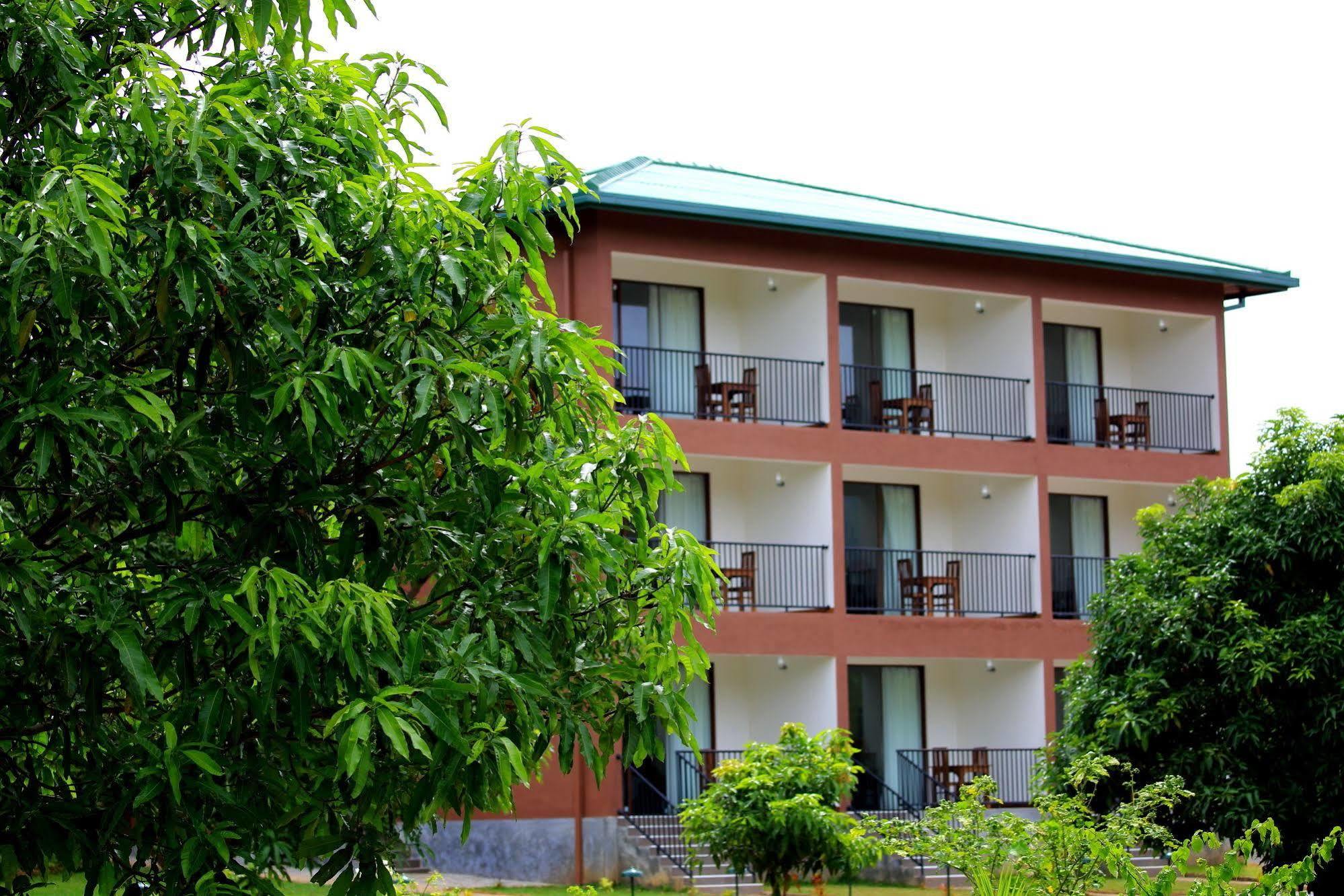 Grand & Gangula Hotell Dambulla Eksteriør bilde