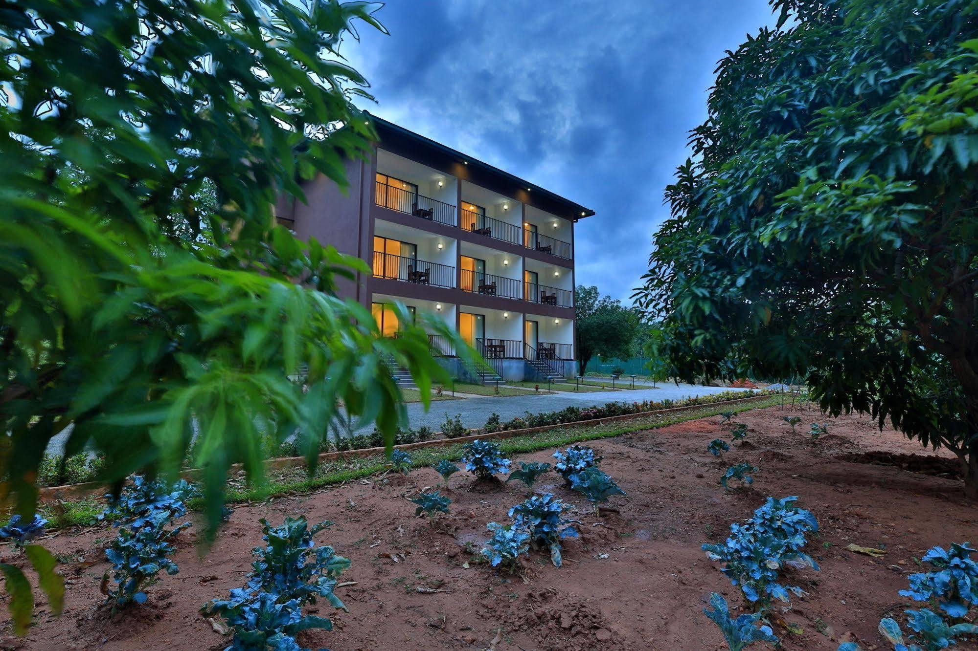 Grand & Gangula Hotell Dambulla Eksteriør bilde