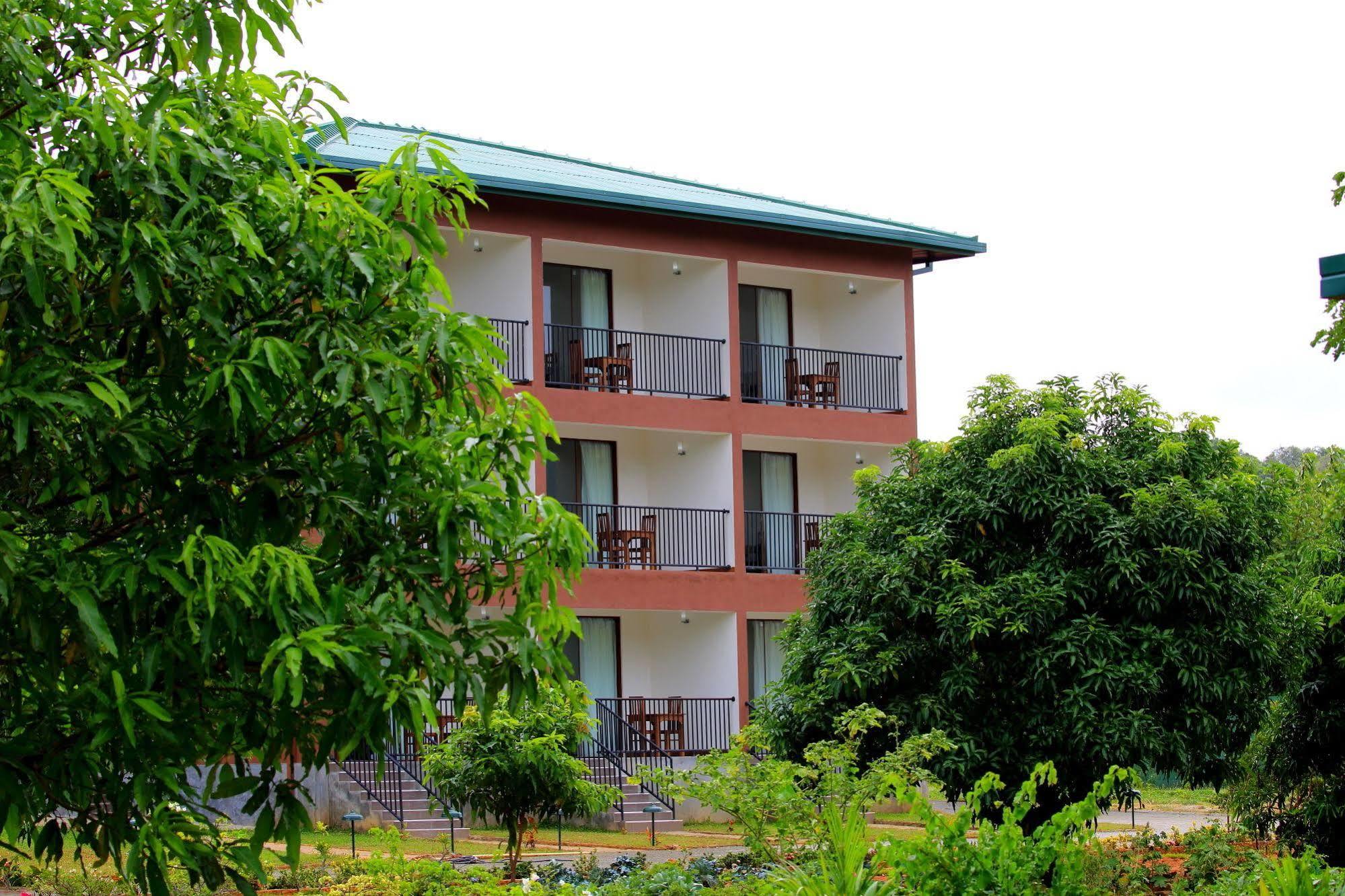 Grand & Gangula Hotell Dambulla Eksteriør bilde