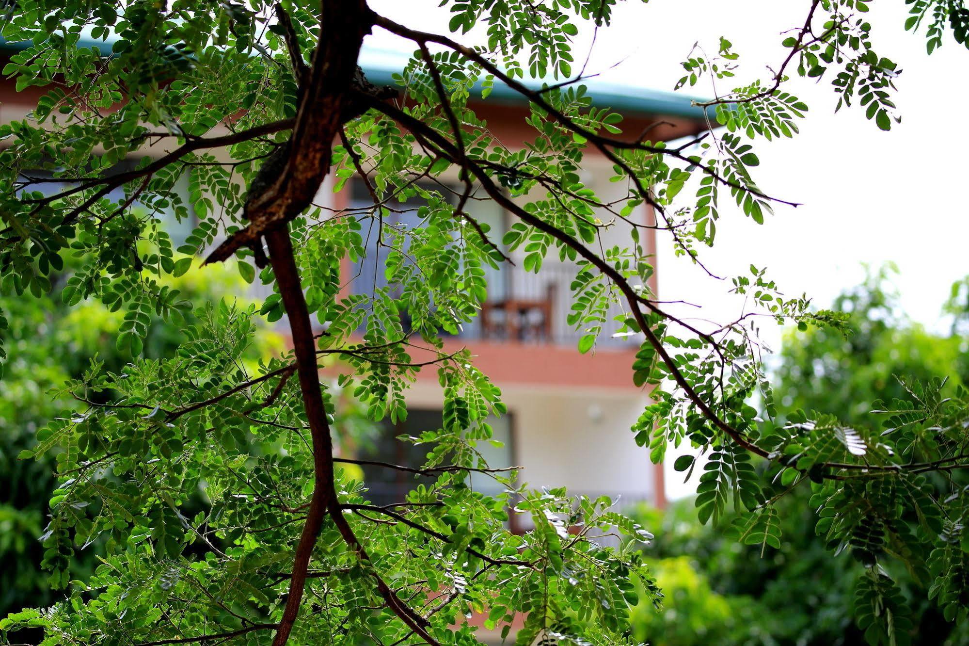 Grand & Gangula Hotell Dambulla Eksteriør bilde