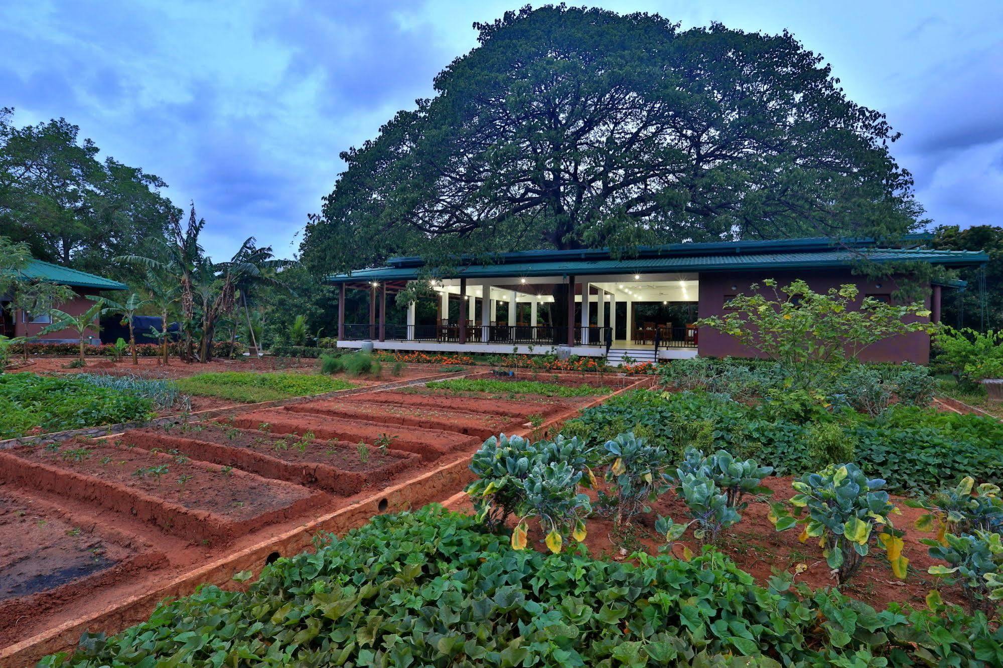 Grand & Gangula Hotell Dambulla Eksteriør bilde